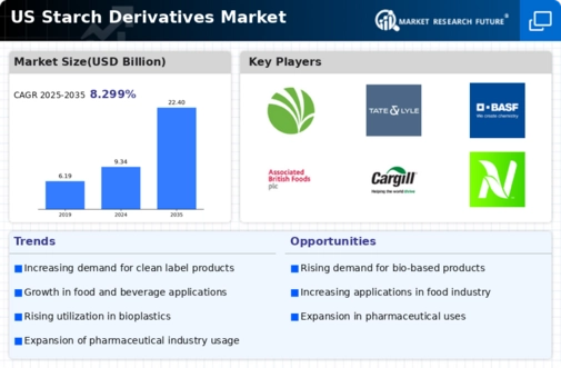 US Starch Derivatives Market  Infographic