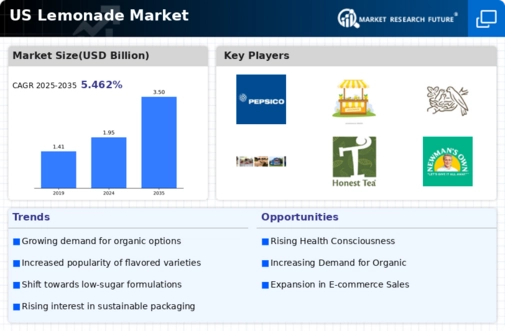 US Lemonade Market Infographic