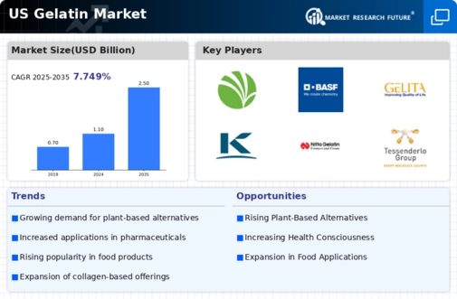 US Gelatin Market  Infographic