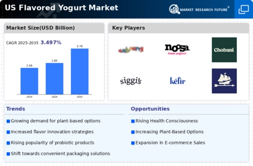 US Flavored Yogurt Market Infographic