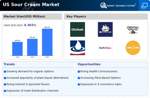 US Vegan Sour Cream Market Infographic