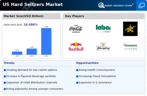 US Hard Seltzers Market Infographic