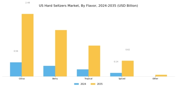 US Hard Seltzers Market Segment Image 0
