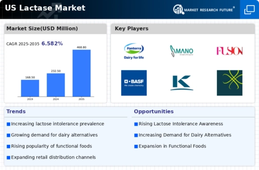 US Lactase Market Infographic