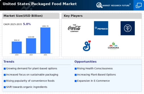 US Packaged Food Market Infographic