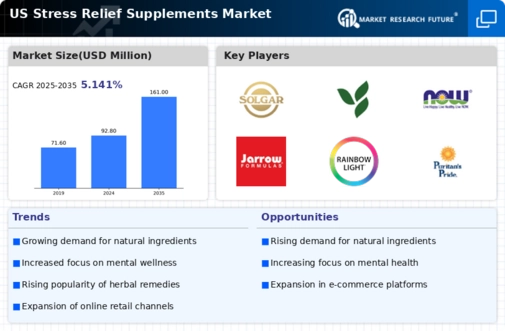 US Stress Relief Supplements Market Infographic