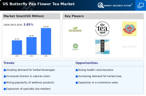 US Butterfly Pea Flower Tea Market Infographic