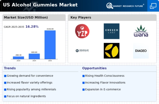 US Alcohol Gummies Market Infographic