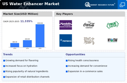 US Water Enhancer Market Infographic