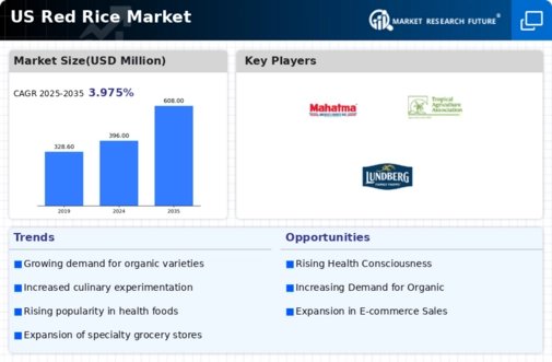 US Red Rice Market Infographic