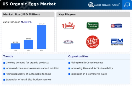 US Organic Eggs Market Infographic