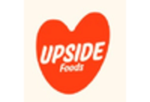 US Cultured Meat Market key player