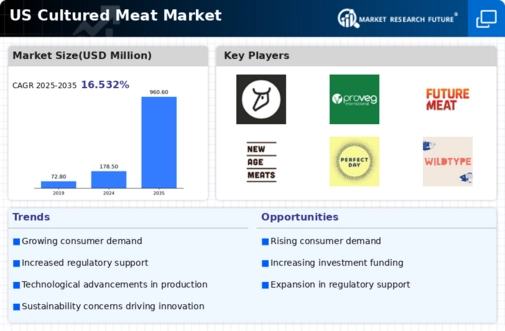 US Cultured Meat Market Infographic