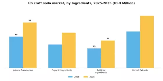 US Craft Soda Market  Segment Image 2