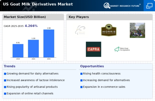 US Goat Milk Derivatives Market Infographic