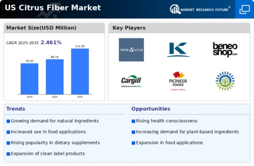US Citrus Fiber Market Infographic