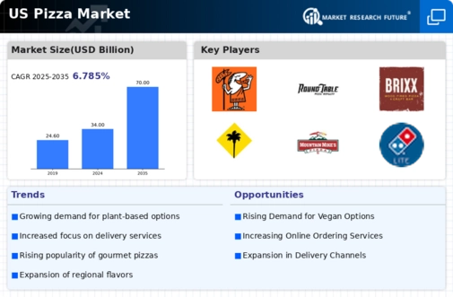 US Pizza Market Infographic