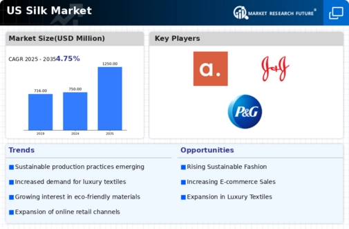 US Silk Market Infographic