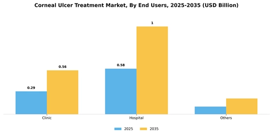 Corneal Ulcer Treatment Market
 Segment Image 3
