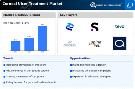 Corneal Ulcer Treatment Market
 Infographic