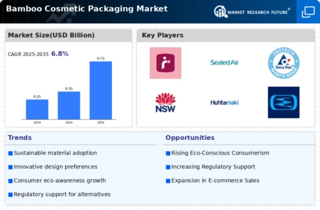Bamboo Cosmetic Packaging Market
 Infographic