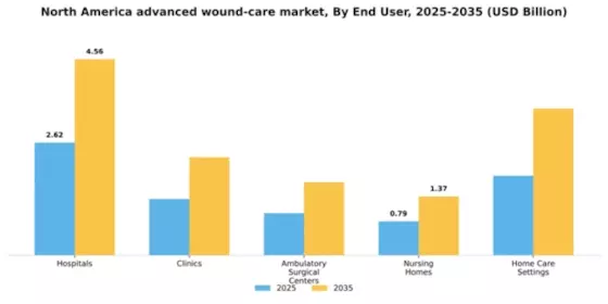 North America Advanced Wound Care Market Segment Image 0