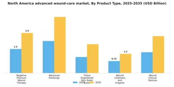 North America Advanced Wound Care Market Segment Image 1
