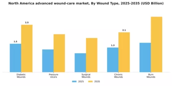 North America Advanced Wound Care Market Segment Image 2