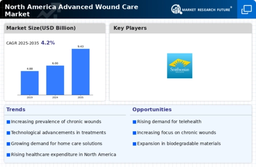 North America Advanced Wound Care Market Infographic