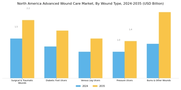 North America Advanced Wound Care Market Segment Image 1