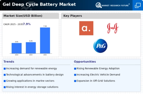 Gel Deep Cycle Battery Market Infographic