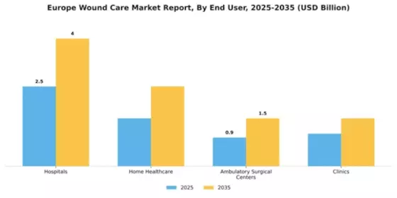 Europe Wound Care Market Segment Image 1