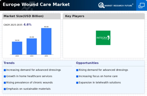 Europe Wound Care Market Infographic