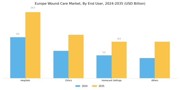 Europe Wound Care Market Segment Image 1