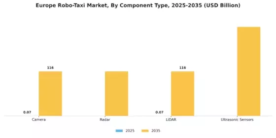 Europe Robo Taxi Market Segment Image 4