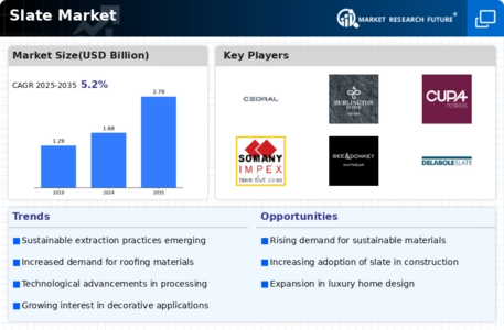 Slate Market
 Infographic
