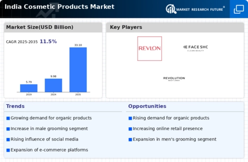 India Cosmetic Products Market Infographic