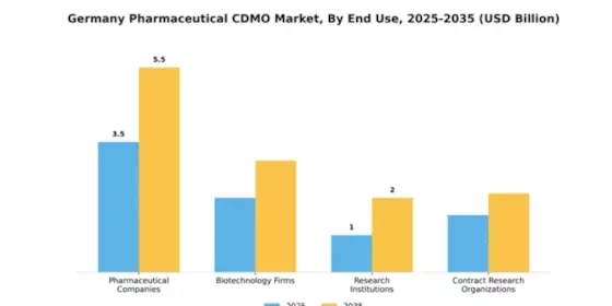 Germany Pharmaceutical CDMO Market Segment Image 1