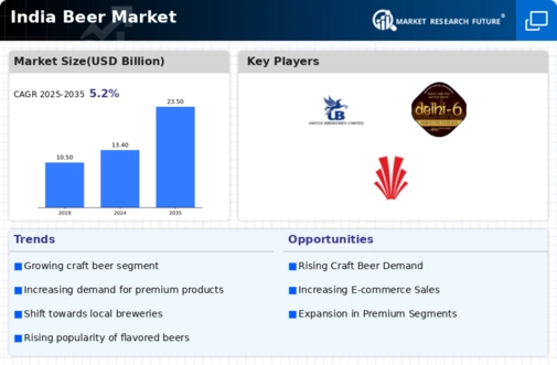  India Beer Market Infographic
