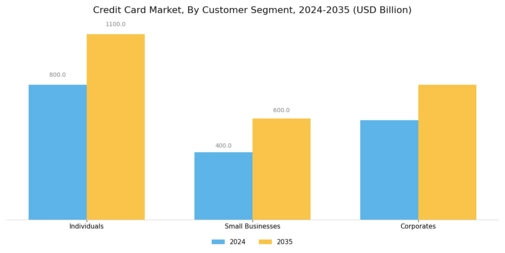 Credit card Market Segment Image 3
