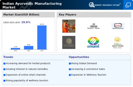 Indian Ayurvedic Manufacturing Market Infographic