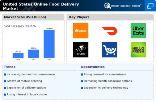 US Online Food Delivery Market  Infographic