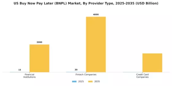 US Buy Now Pay Later Market Segment Image 2