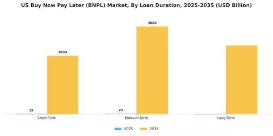 US Buy Now Pay Later Market Segment Image 3