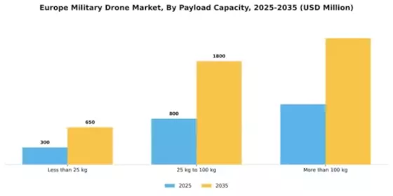 Europe Military Drone Market Segment Image 2