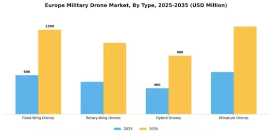 Europe Military Drone Market Segment Image 3