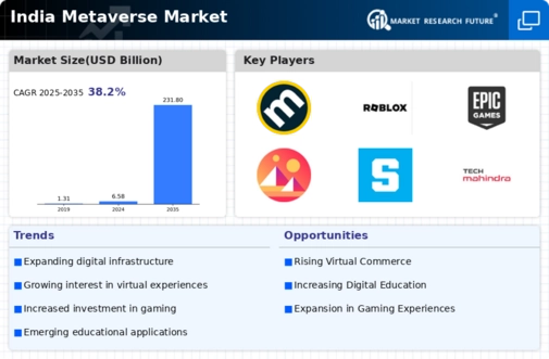 India Metaverse Market Infographic