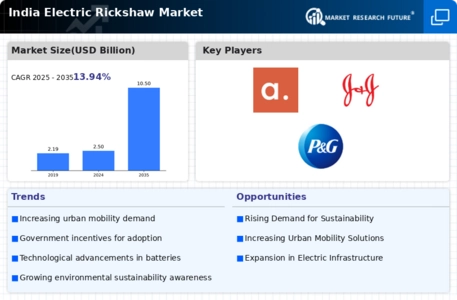 India Electric Rickshaw Market Infographic