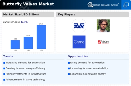 Butterfly Valves Market Infographic