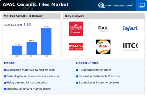 Asia-Pacific Ceramic Tiles Market Infographic